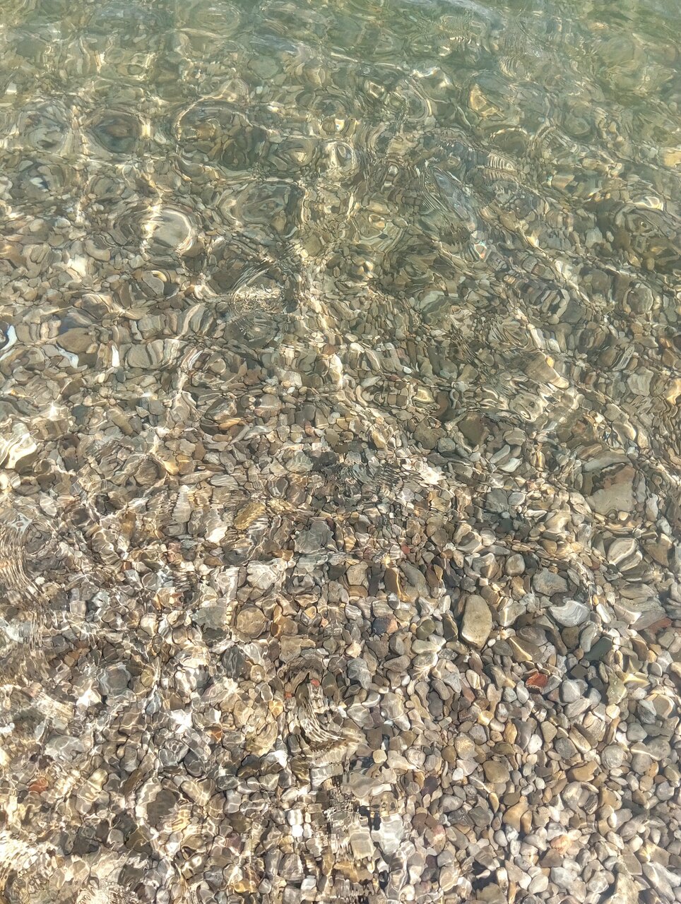 Гостевой дом Вилла Корсика Саки-217