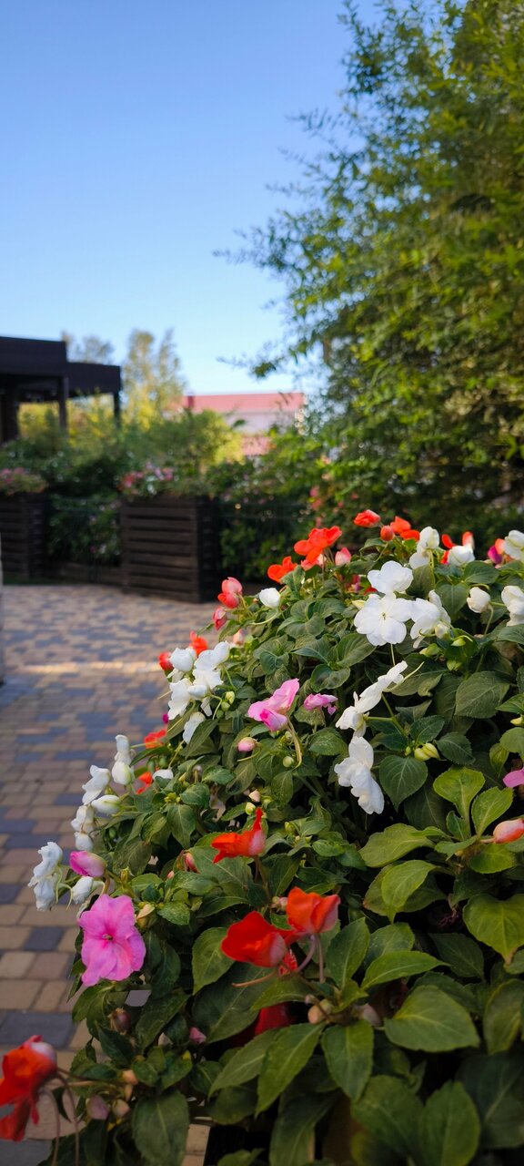 Гостевой дом Вилла Корсика Саки-156