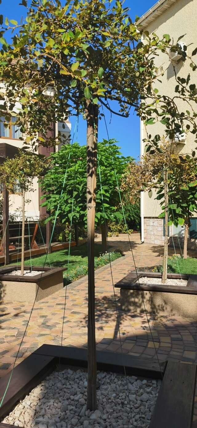 Гостевой дом Вилла Корсика Саки-237