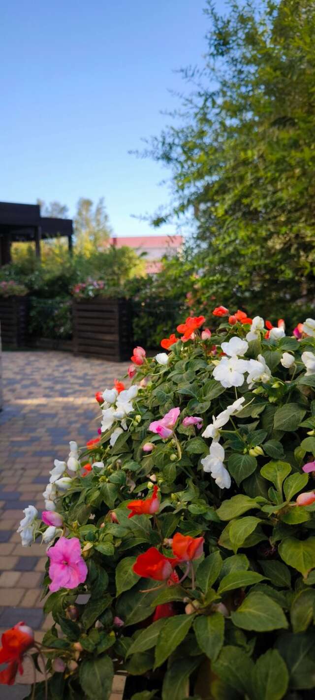 Гостевой дом Вилла Корсика Саки-155