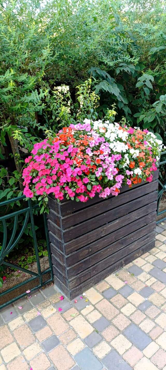 Гостевой дом Вилла Корсика Саки-184